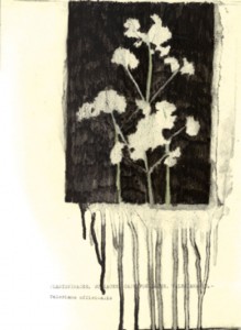 Elena-Harmerski