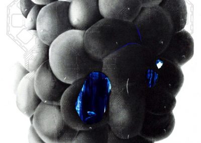 Giulia Dall’Olio