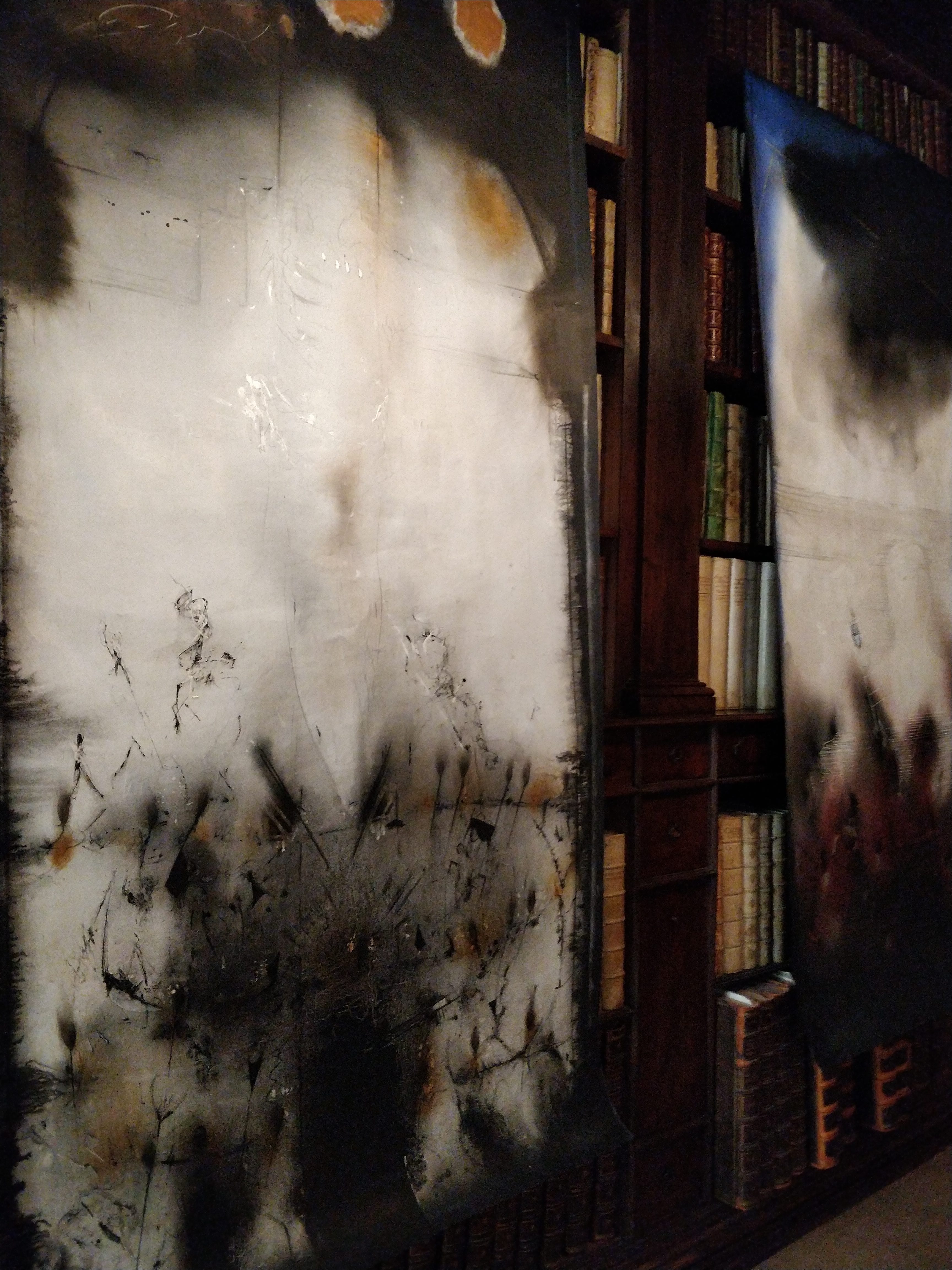 Visita con il Curatore – Il disegno della polvere